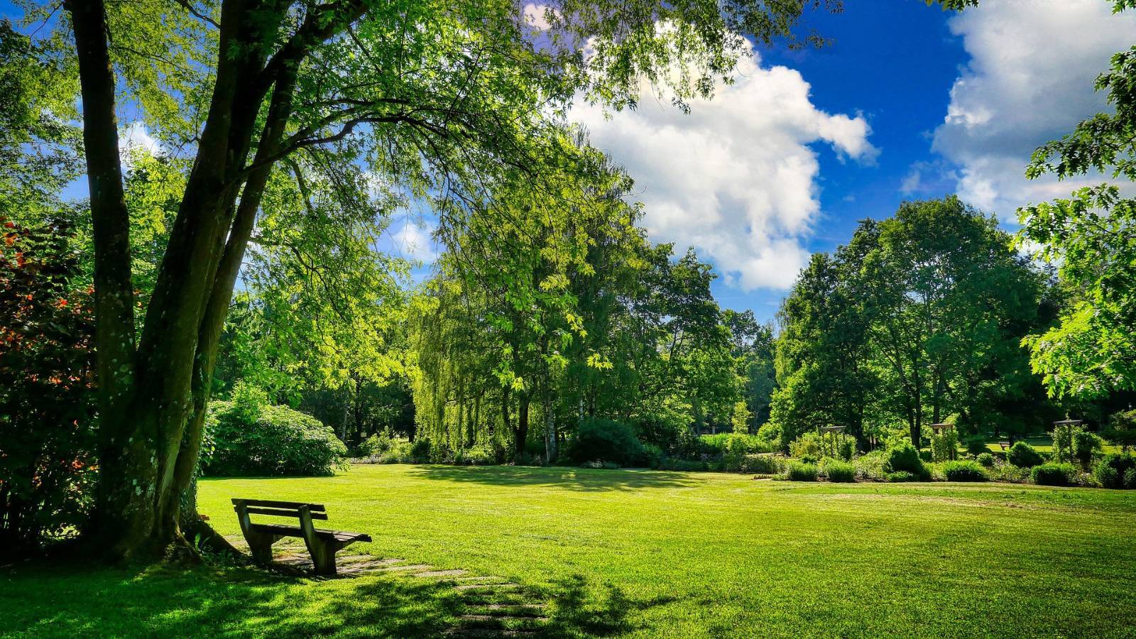 parc-floral-orleans